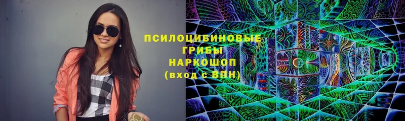 Галлюциногенные грибы Psilocybe  Белоозёрский 